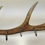 elk antler coat rack