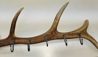 elk antler coat rack