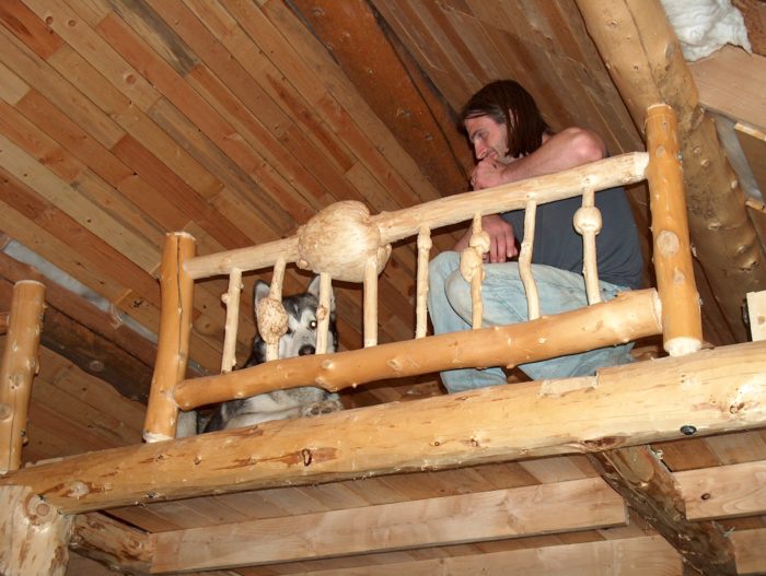 loft log railing 1