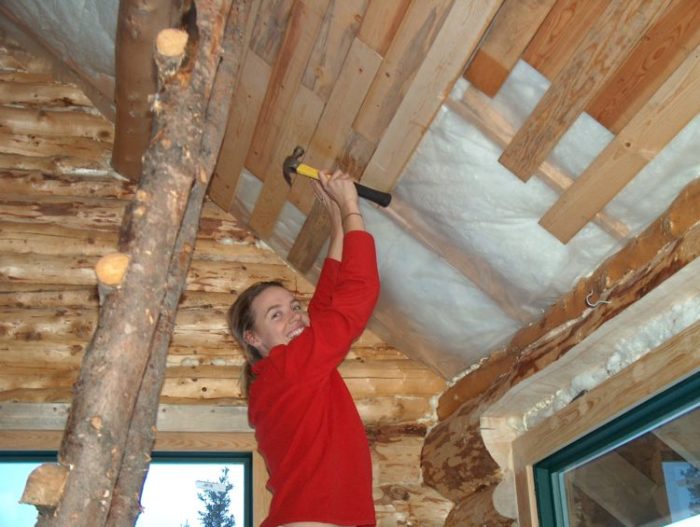 log cabin ceiling