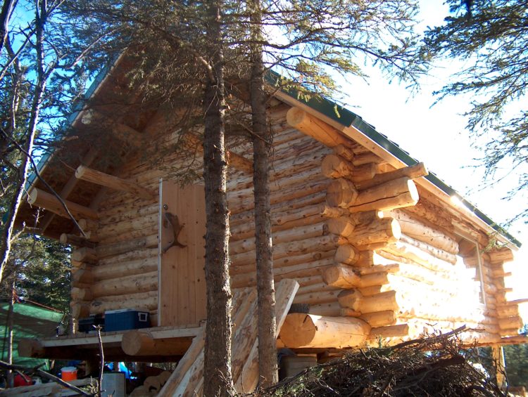 log cabin diy