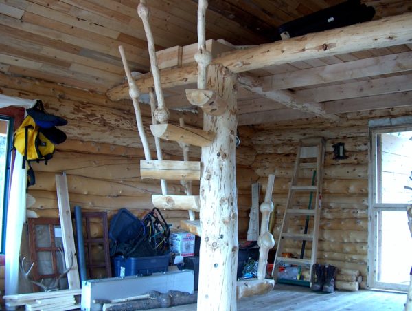 log stairs with railing