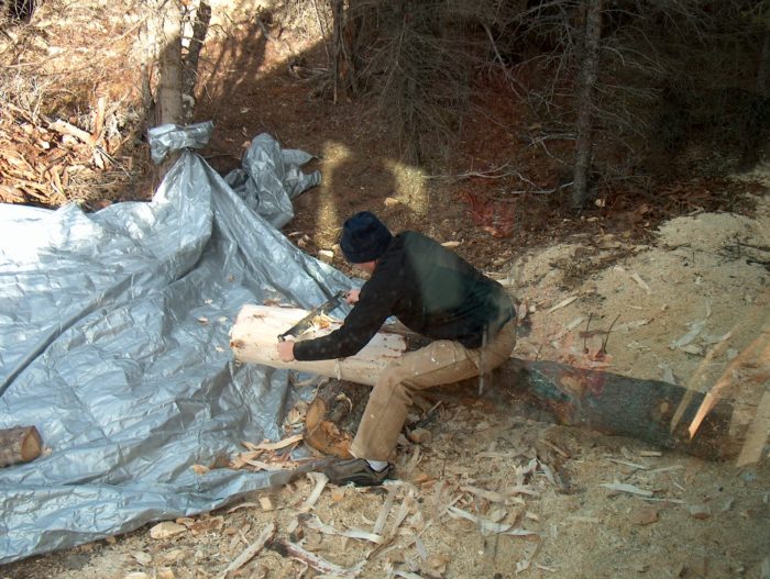 peeling logs