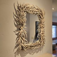 Antler Mirror in Living Room