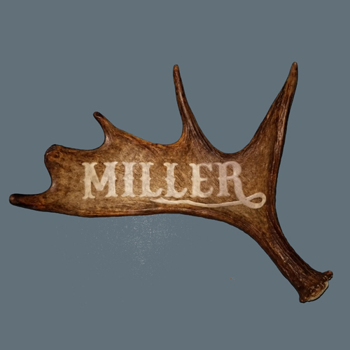 small moose antler name carving