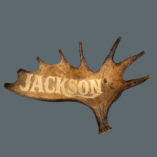 Personalized Moose Antler Carving - XL