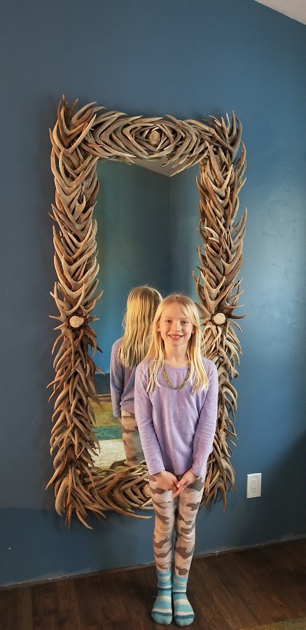 rectangle antler mirror