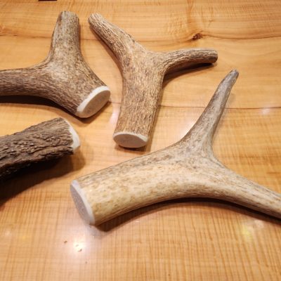 extra large elk antler chews