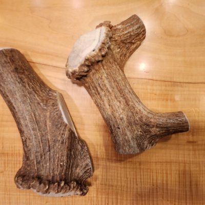 jumbo elk antler dog chew