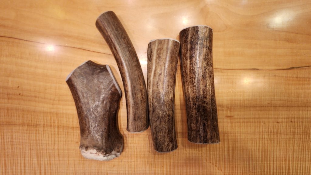 large caribou antler dog chews