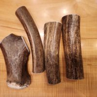 large caribou antler dog chews