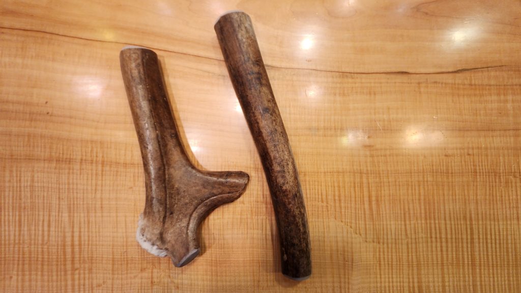 jumbo caribou antler dog chews