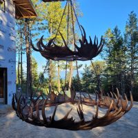 trophy moose antler chandelier