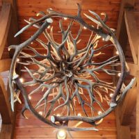 trophy mule deer and elk antler chandelier