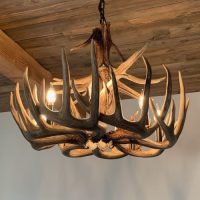 single tier trophy whitetail chandelier