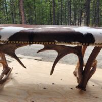 Small elk and moose antler bench upholstered with cowhide by Montana Antler Works