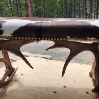 small antler bench upholstered with cowhide