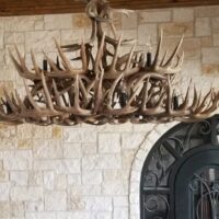 Custom oval whitetail antler dining table chandelier in a stone-walled tasting room.