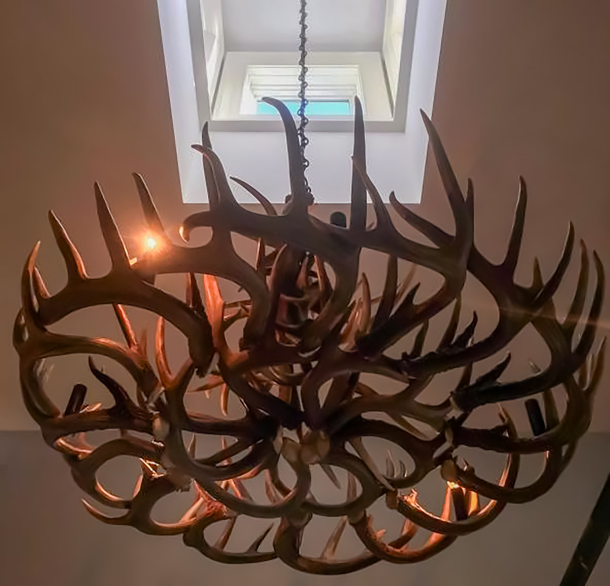 Rustic whitetail antler chandelier viewed from below, with warm lights nestled among branching antlers