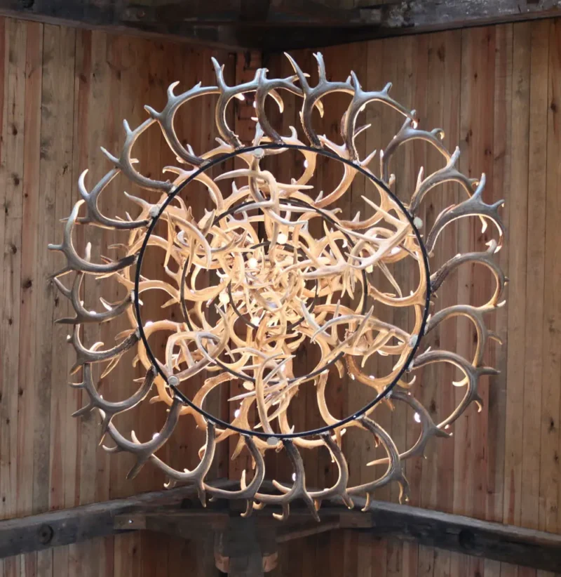 Large 4 Tier Whitetail antler Chandelier