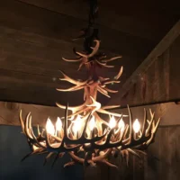 Round mule deer antler chandelier - porcupine design