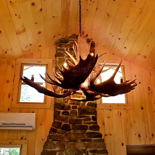 Moose Antler Chandelier