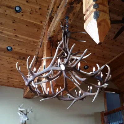 Handcrafted elk antler chandelier with authentic trophy elk mount