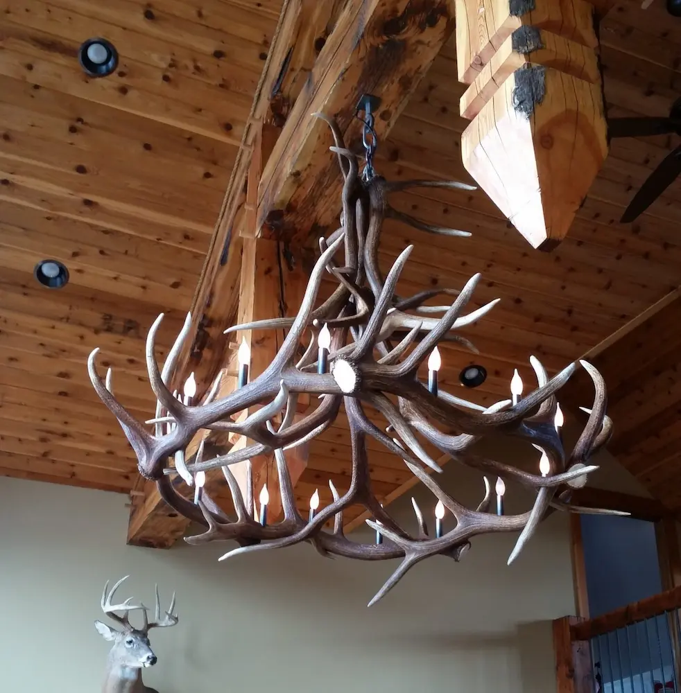 Handcrafted elk antler chandelier with authentic trophy elk mount