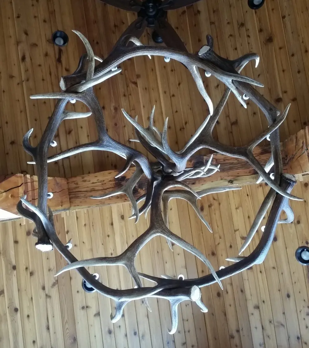 Symmetrical trophy elk antler chandelier for rustic home decor