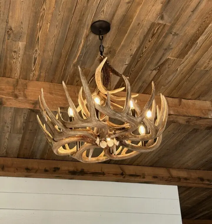 Trophy whitetail deer antler single tier chandelier installed on a rustic wood plank ceiling